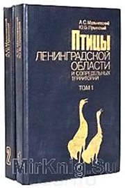 светлов с ф петербургская жизнь в конце xix столетия в 1892 году